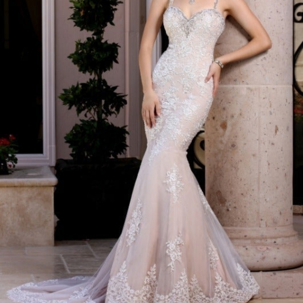 Tulle and Lace Wedding Gown size 10 DaVinci